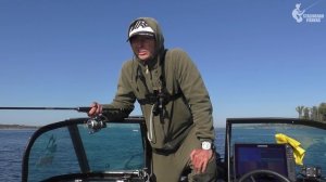 Вот это ПОКЛЁВКИ! На что ЖЕРЕХ лучше ловится? Тейл-спиннеры или вибы?