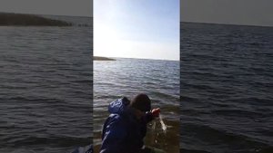 Рыбалка в октябре на Чанах