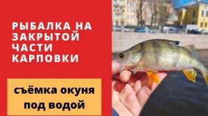 #4 #ультралайт Рыбалка Санкт-Петербург. Карповка недоступная