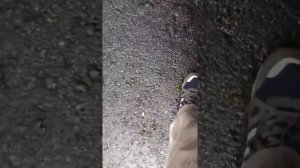 Обзор скутера Yamaha Jog Space Innovation