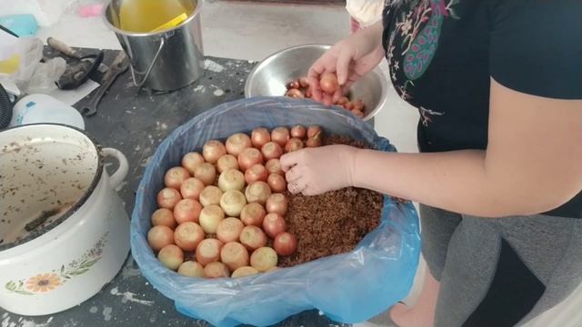 Зеленый лук без хлопот на подоконнике,без земли. смотреть онлайн