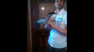 Мои трофеи с водохранилища Волчьи Ворота. Щука,сазан,белый амур. Мy trophies