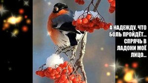 Композитор Карен Саркисян " Сказка"