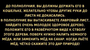 В новолуние положи лавровый лист в кошелёк. Это привлечёт деньги