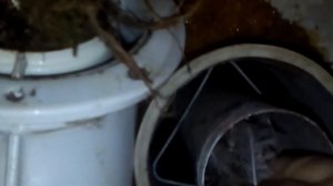 Не включается газовый котёл? Шок, что можно обнаружить в дымоходе...