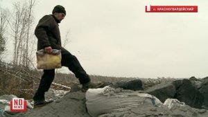 Мышьяк и свинец попали в почву – опасная свалка нанесла ущерб в 170 млн. рублей