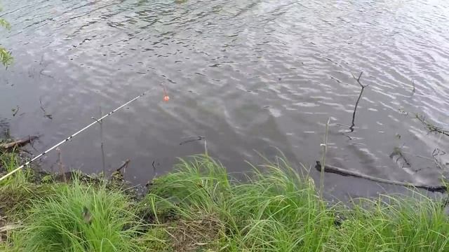 ДОКАПЫВАЕМ СХРОН...И ТУТ ПОПЕРЛО!!!...КОП МЕТАЛЛОЛОМА С НОЧЕВКОЙ!!! смотреть онлайн