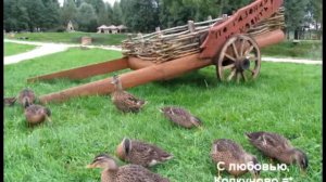 Городок сказочных персонажей в "Колкуново"