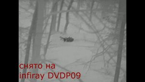 Охота на глухого кабана ночью с тепловизорами iRay и карабином ata arms turqua. Boarhunting