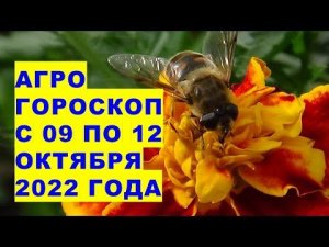 Агрогороскоп с 09 по 12 октября 2022 года