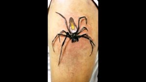 Spider Tattoos