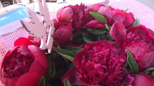 Букет из 15 бордовых пионов смотреть онлайн