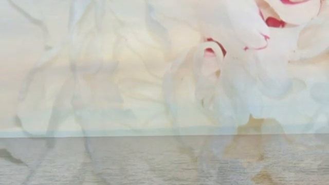 Елена Спас - «Springtime Star» смотреть онлайн