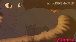 🛸Коты воители🦈/Песня:Шёпот в темноте\