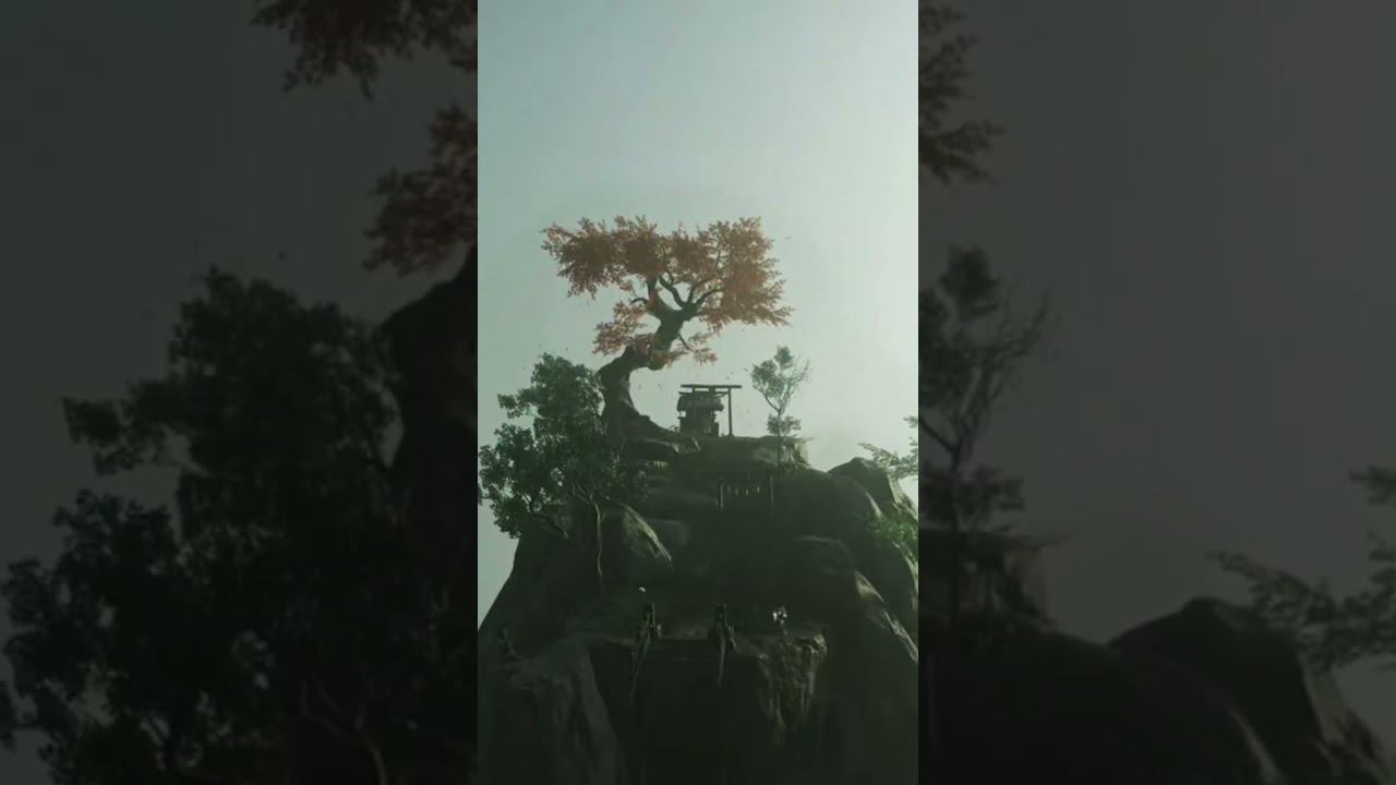 Помолимся. Ой не то. Лучше посмотрим по сторонам.  Подпишись, будь другом.#Shorts #GhostofTsushima