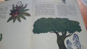 Про полосатого слоненка. 2 часть