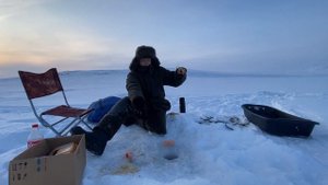 РИПУС В ГЛУХОЗИМЬЕ.РЫБАЛКА НА СИГА. РИПУС и ГИРЛЯНДА.  УЛОВ БЕШЕННЫЙ КЛЕВ сига и рипуса #2