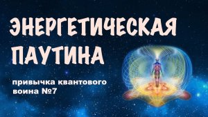 Энергетическая паутина. 7 привычек квантового воина. Плетение паутины
