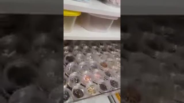 Обзор наполнения шкафа?