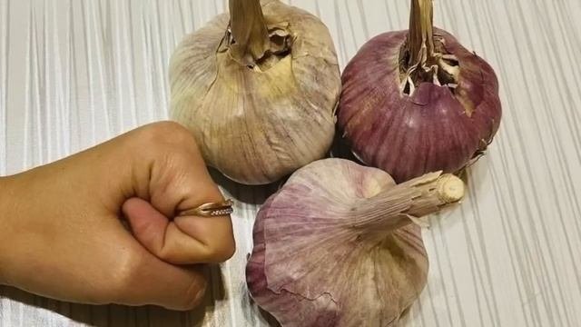 Чеснок вырастет с кулак, если подкормить его весной так: простой рецепт подкормки