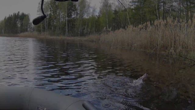 Рыбалка на спиннинг.Рыбалка на лесном озере.Рыбалка весной.Ведро ротанов за 3 часа.Жор ротанов?????