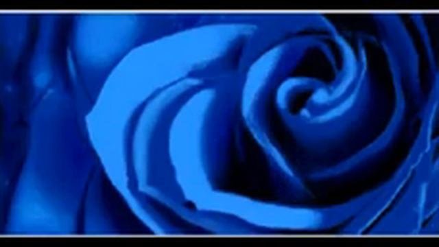 Roseformiss