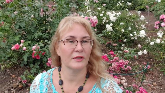 День открытых хуторов 2021 в Эстонии.Хутор Lammas ja Roos.Как живут в Эстонии.Провинция в Эстонии