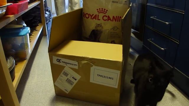 video telepienso descuento 016.MP4 смотреть онлайн