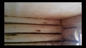 Баня из бревна 5х3 "под ключ" с печкой №9