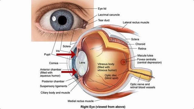 58 | Bad design? смотреть онлайн