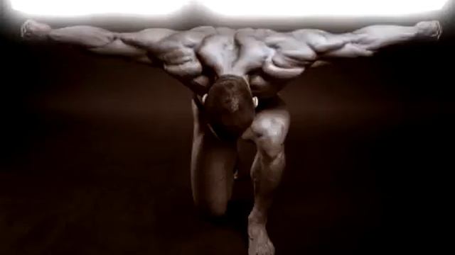 Denis Sokolov смотреть онлайн