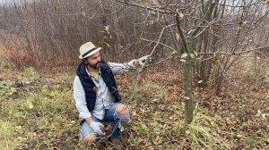 Осенняя обрезка любимой яблони. Максимально подробно!