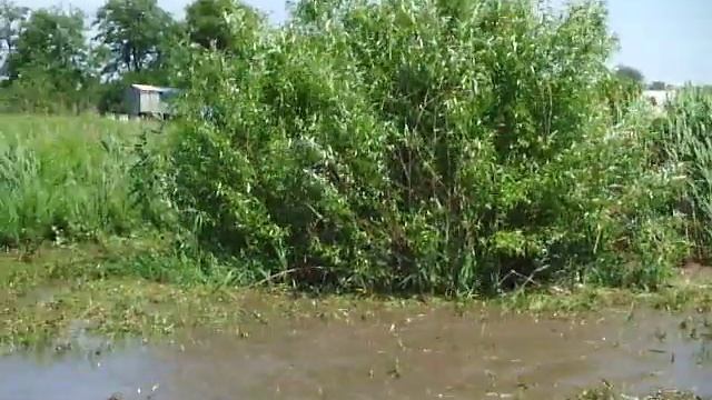 Cfmoto x6 light offroad смотреть онлайн