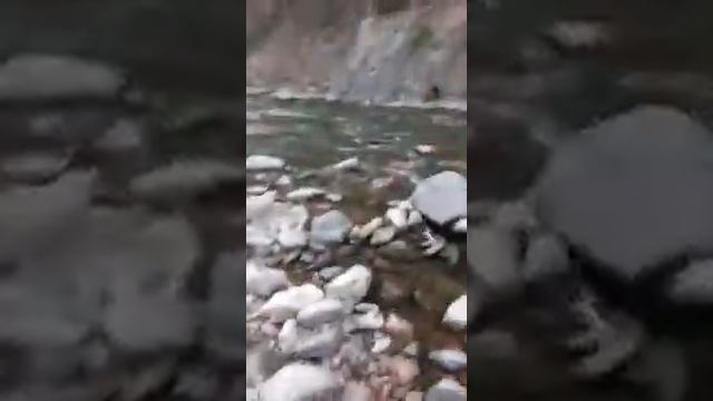 Дальнегорск Отравление красной рыбы в реке Рудной смотреть онлайн