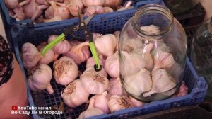 ЛУЧШИЙ СПОСОБ ХРАНЕНИЯ ЧЕСНОКА ДО НОВОГО УРОЖАЯ!