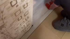 Укладка ламината одним контуром за 2 дня