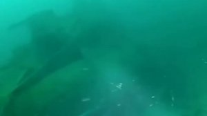 Подводная лодка Щ-216
