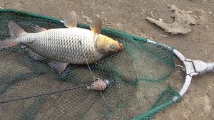 Отчёт о рыбалке Рефтинское водохранилище.