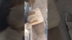 7.05.2022 г. Китайский полуавтомат с Алиэкспресса Omax 185 , за 11.000 руб