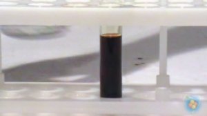 Взаимодействие хлорида железа(III) с иодидом калия.