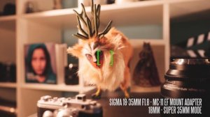 Sony A7R III / A7R3 - Sigma Autofocus Test in Video Mode