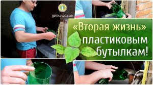 Вторая жизнь пластиковым бутылкам!