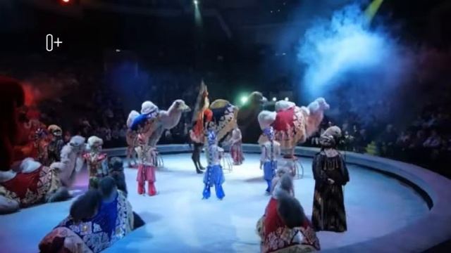 Учёные собаки, артистичные обезьяны, покорные верблюды, грациозные гиппопотамы смотреть онлайн