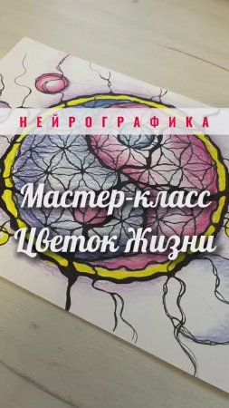 Цветок Жизни. Нейрографика #нейрографика_с_аленойпоходневой #нейрографика