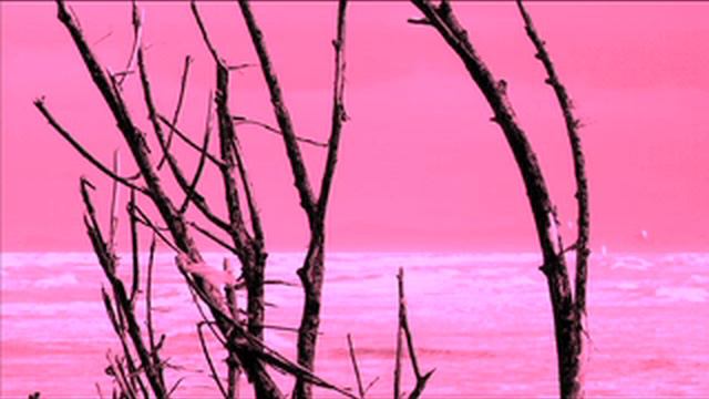 i rami secchi смотреть онлайн