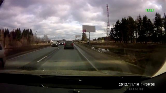 Быка за рога Аварии с животными 18