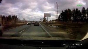 Быка за рога [Аварии с животными] 18+