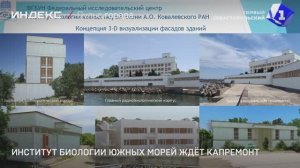 Институт биологии южных морей ждёт капремонт