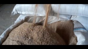 Как выглядят качественные кормовые дрожжи