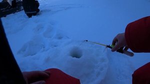 ХАРИУС В ГЛУХОЗИМЬЕ 2021  /  ЗИМНЯЯ РЫБАЛКА НА ХАРИУСА  /  РЫБАЛКА НА ТАЕЖНОЙ РЕКЕ  /  РЫБАЛКА 29